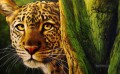 Leopard 12